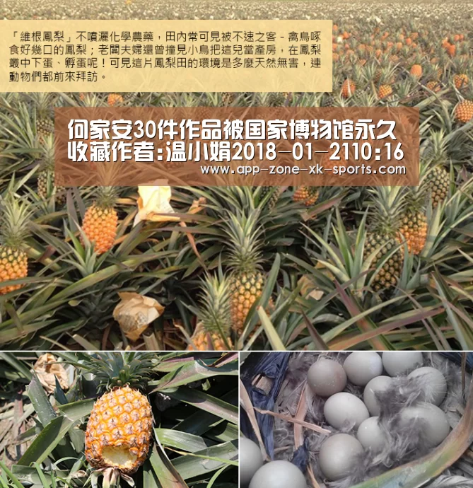 星空体育官网入口